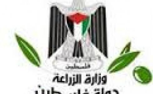 وزارة الزراعة 