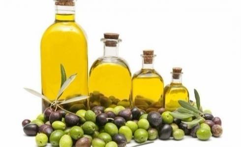 زيت وزيتون  - توضيحية