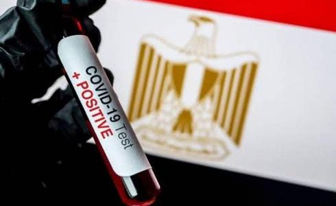 كورونا مصر