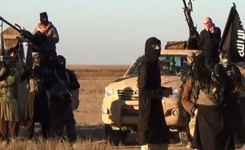 تنظيم داعش في سيناء