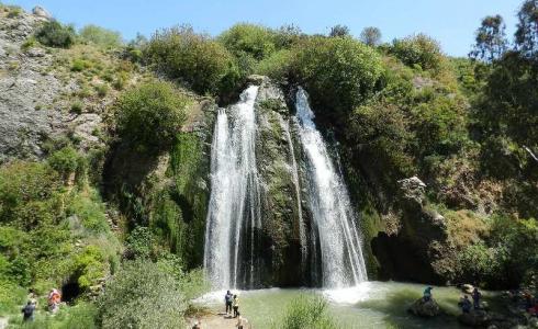 الجداول المائية في شمال فلسطين