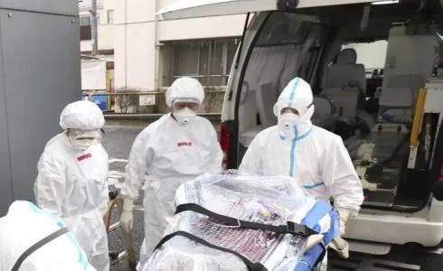 كورونا في هولندا