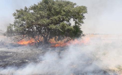 حريق اندلع  اليوم في منطقة مفلاسيم بغلاف غزة بفعل بالون حارق