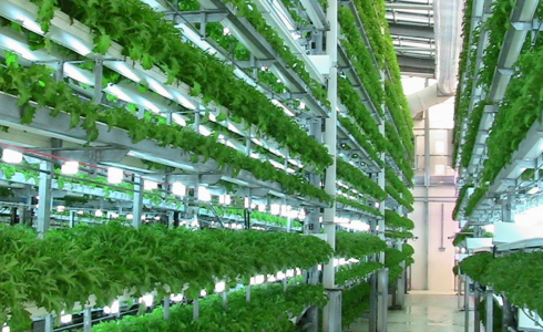 انقطاع التيار الكهربائي يؤثر سلباً على القطاع الزراعي