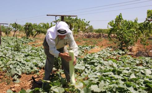 المزارعين الفلسطينيين بالضفة الغربية