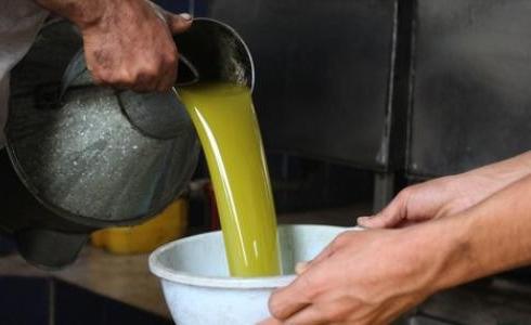 عصر الزيتون - توضيحية -