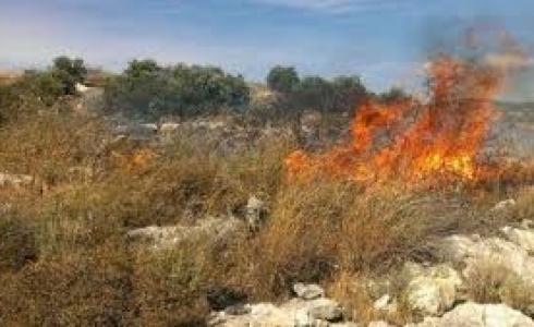 اندلاع حريق قرب منطقة رأس الناقورة 