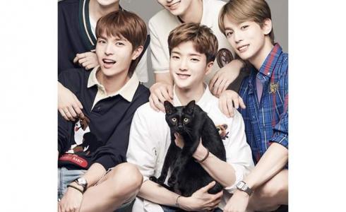 فرقة كورية W24