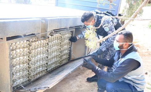 محاولة تهريب أكثر من 400 طبق بيض إلى إسرائيل