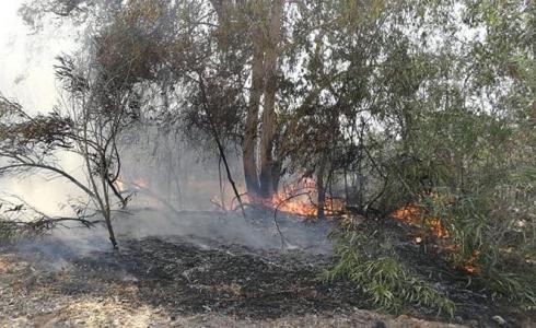 حريق في أحراش إسرائيلية بغلاف غزة بسبب بالون حارق- أرشيفية