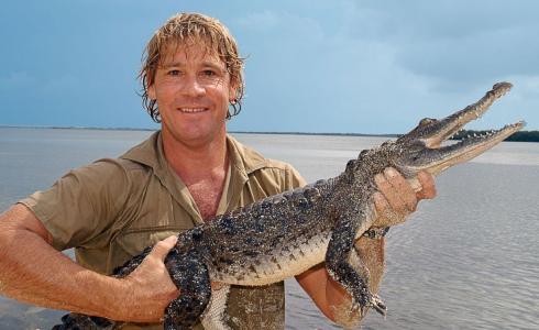 سمك الرقيطة ادلى الى وفاة ستيف اروين