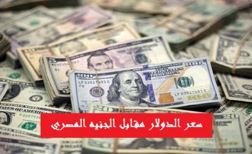 سعر الدولار مقابل الجنيه المصري اليوم السبت