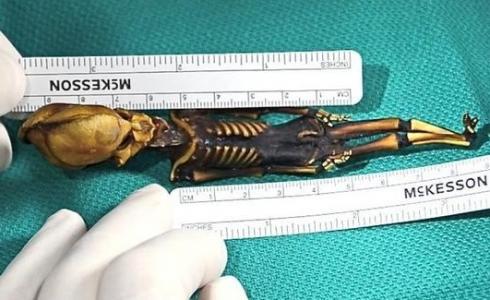 الهيكل الذي تم العثور عليه في صحراء تشيلي