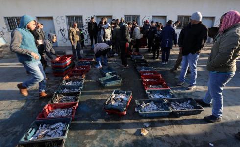  الصيادون الفلسطينيون في غزة يعرضون أسماكهم  - مصدر الصور: apa