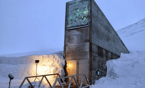 قبو القيامة