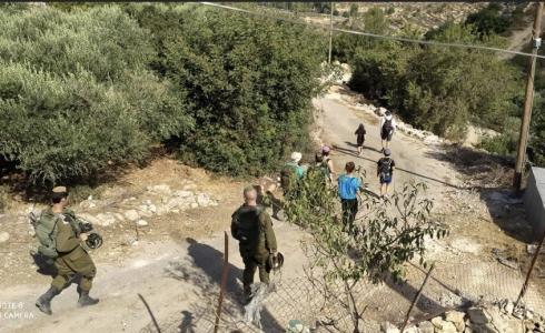 مستوطنون يقتحمون قرية الولجة غرب بيت لحم