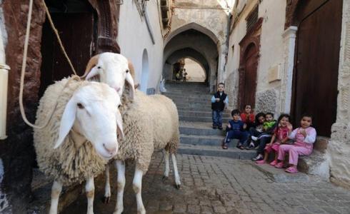 عيد الاضحى في سوريا ٢٠١٩