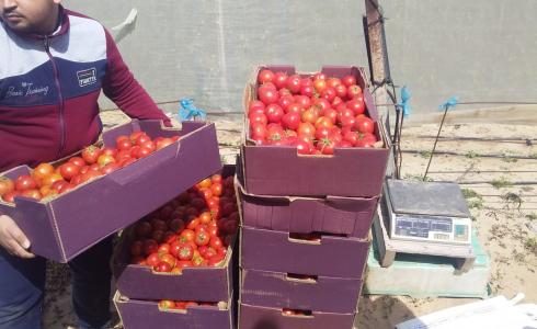 المنظمات الأهلية تقدم الخضروات لمراكز الحجر في قطاع غزة