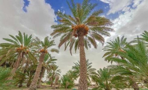 الاقتصاد بغزة تضع سياسات لدعم المنتج المحلي