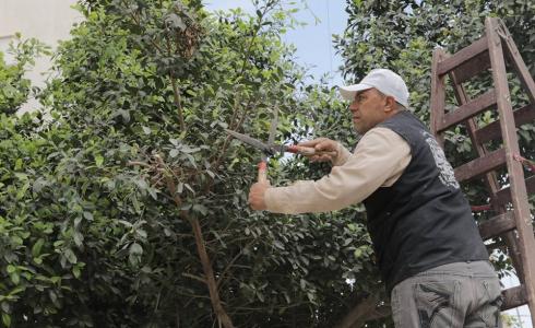 بلدية غزة تزرع 1500 شتلة خلال شهر مايو