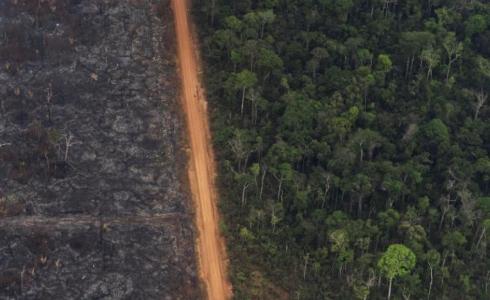 ظاهرة خطيرة تهدد السهول والغابات!