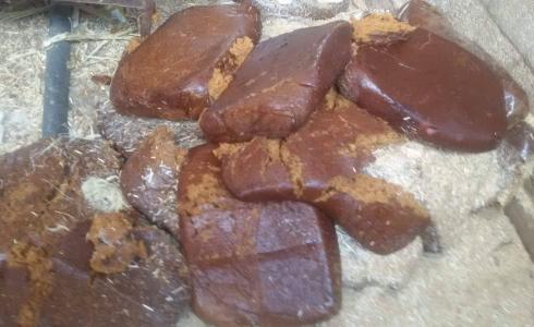 ضبط وإتلاف كميات كبيرة من العجوة في غزة