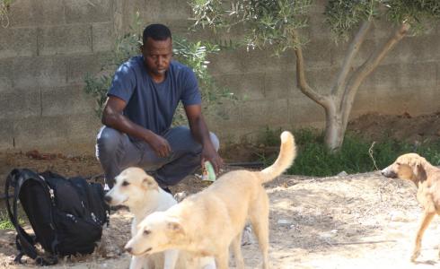 سعيد العر يحمى الحيوانات الضالة في غزة