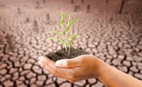 يوم التجاوز الارضي