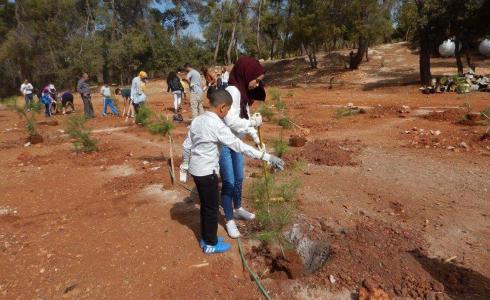 مبادرة زراعة الأشجار