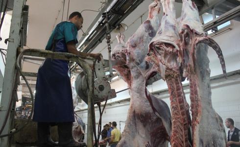 الجمعية الخيرية الإسلامية تنهي مشروع الأضاحي بتوزيع 10 آلاف حصة