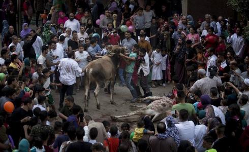 مظاهر الفرحة في عيد الأضحى
