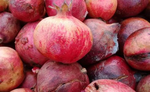 فاكهة الرمان في معبر كرم ابو سالم