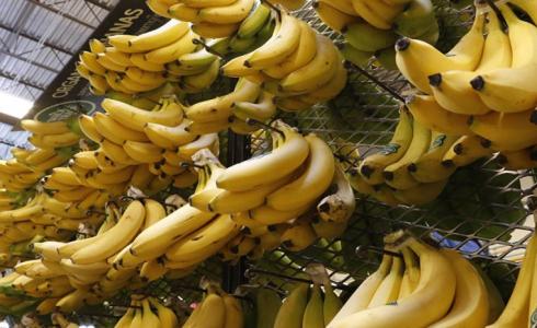 موز قشرته صالحة للأكل