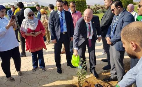 السفير الإسرائيلي يغرس شجرة زيتون في مصر