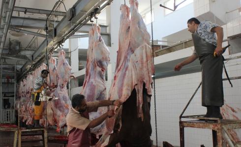 ذبح المواشي في غزة