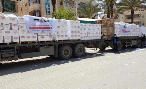 مساعدات إماراتية إلى غزة - أرشيف