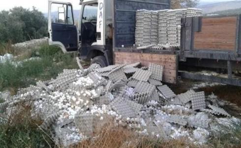 انهيار سعر البيض يدفع أحد المزارعين لاتلافه في الضفة الغربية