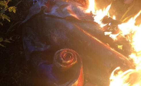 أمريكيون يحرقون ويغرقون تمثال المستكشف الإسباني كولومبوس