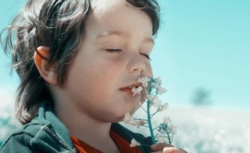 كورونا ستنقد حياة آلالاف- تعبيرية