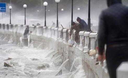 جيوش من الأسماك تحلق قبالة جزيرة مالطا