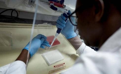 أصل فيروس كورونا