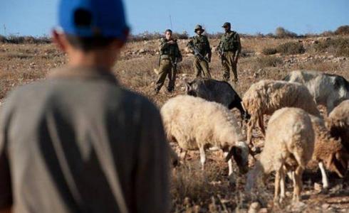 احتجاز رعاة اغنام في الاغوار الشمالية