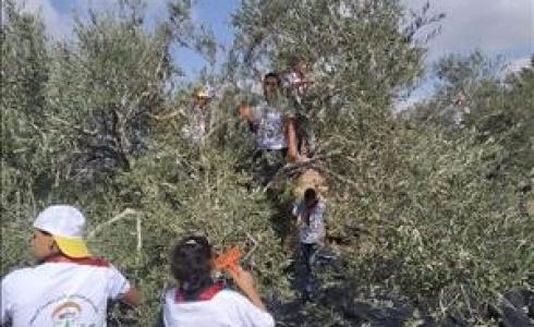 حملة حماة الارض