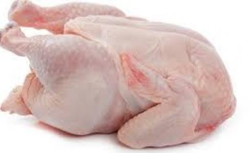 اسعار الدجاج في غزة اليوم