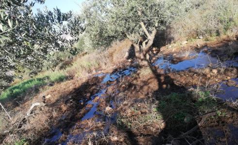 المياه العادمة في أراضى المواطنين