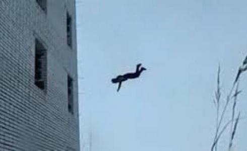 مصرع مواطن سقط من علو  -تعبيرية-