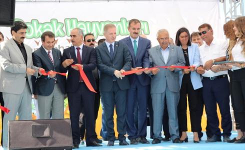 فندق للحيوانات في ولاية وسط تركيا