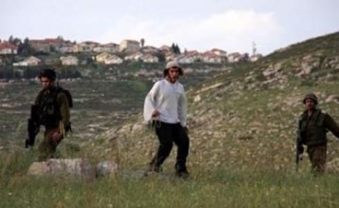 مستوطنون يجرفون أراضي ويدمرون 22 شجرة زيتون شرق قلقيلية