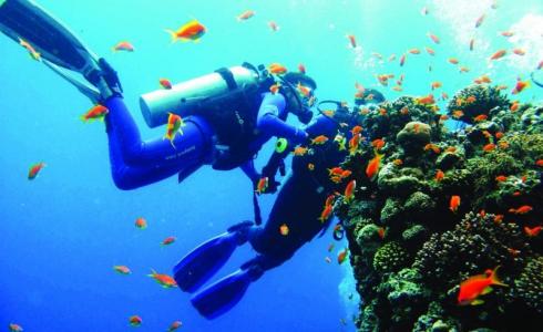 منتزه الغوص في البحرين	