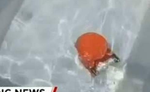 العثور على الصندوق الاسود للطائرة المنكوبة 